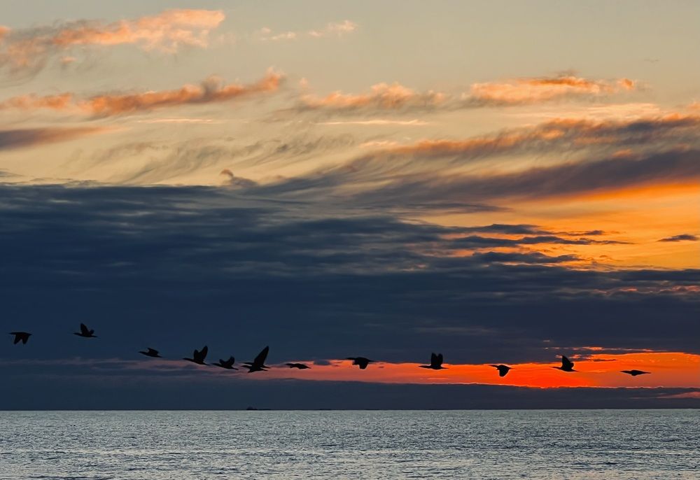 Photograph by Олег Банковский