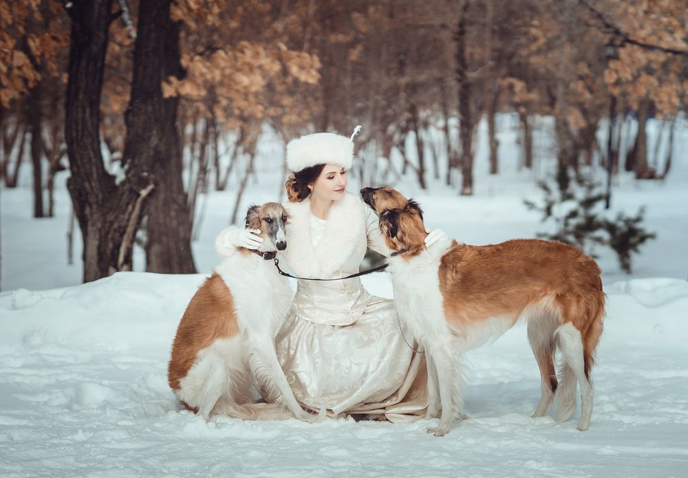 Фотография автора Диана Липкина