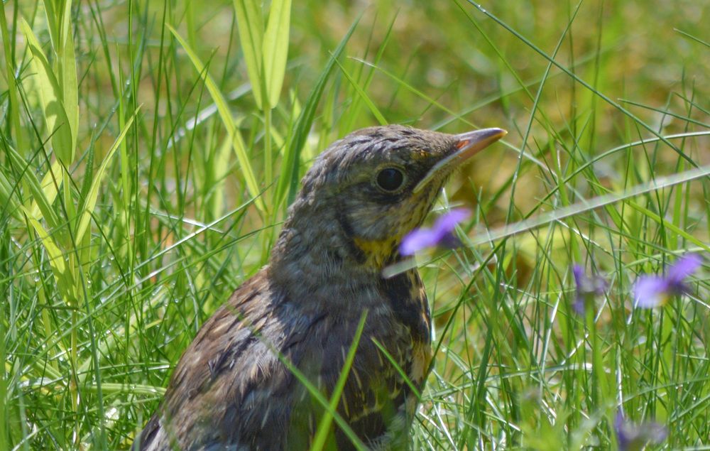 Photograph by Екатерина Казарцева