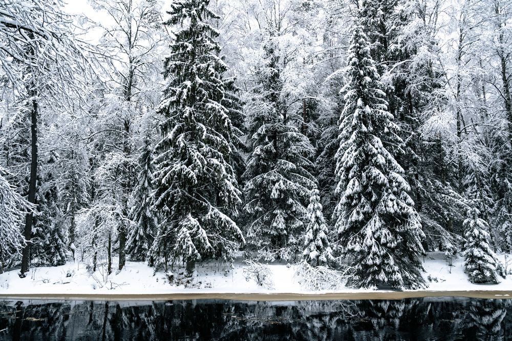 Фотография автора Дьяченко Алёна