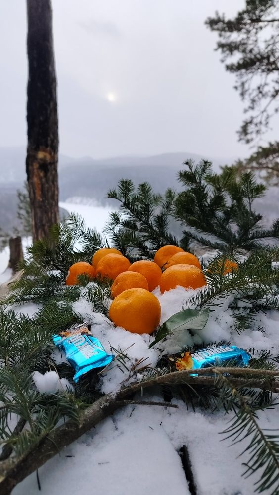 Photograph by Анастасия Горбачева