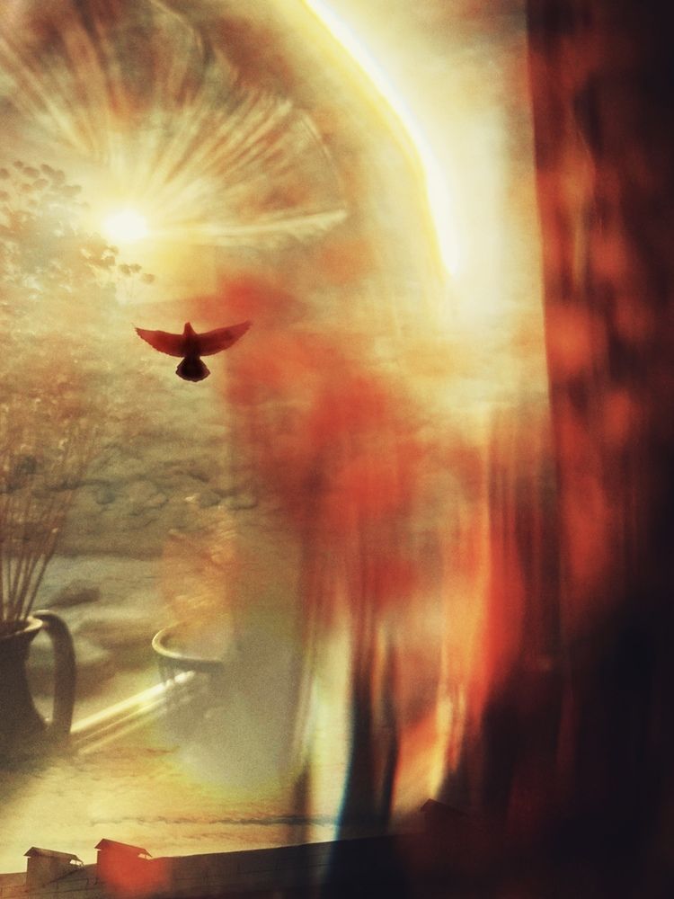 Photograph by Наталья Сережко