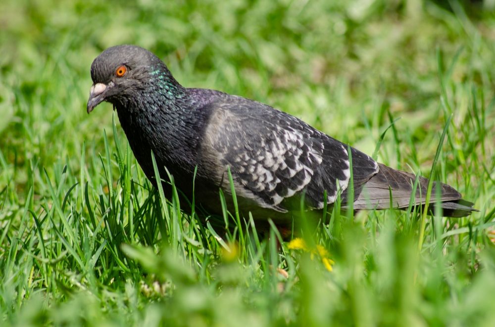 Photograph by Татьяна Жиркина