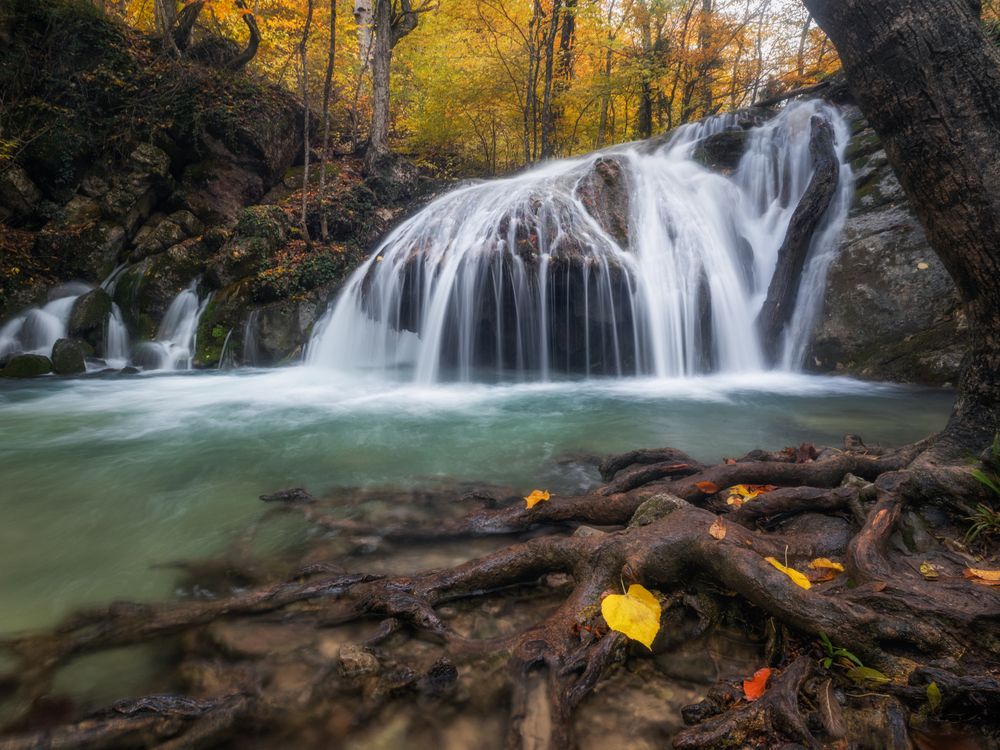 Photograph by Дмитренко Екатерина