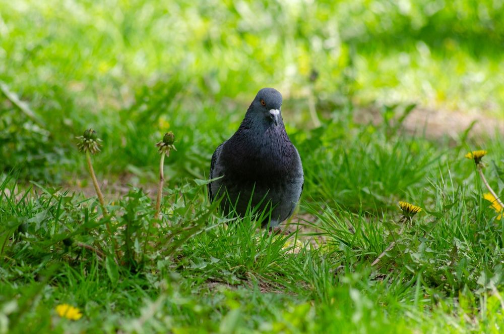 Photograph by Татьяна Жиркина