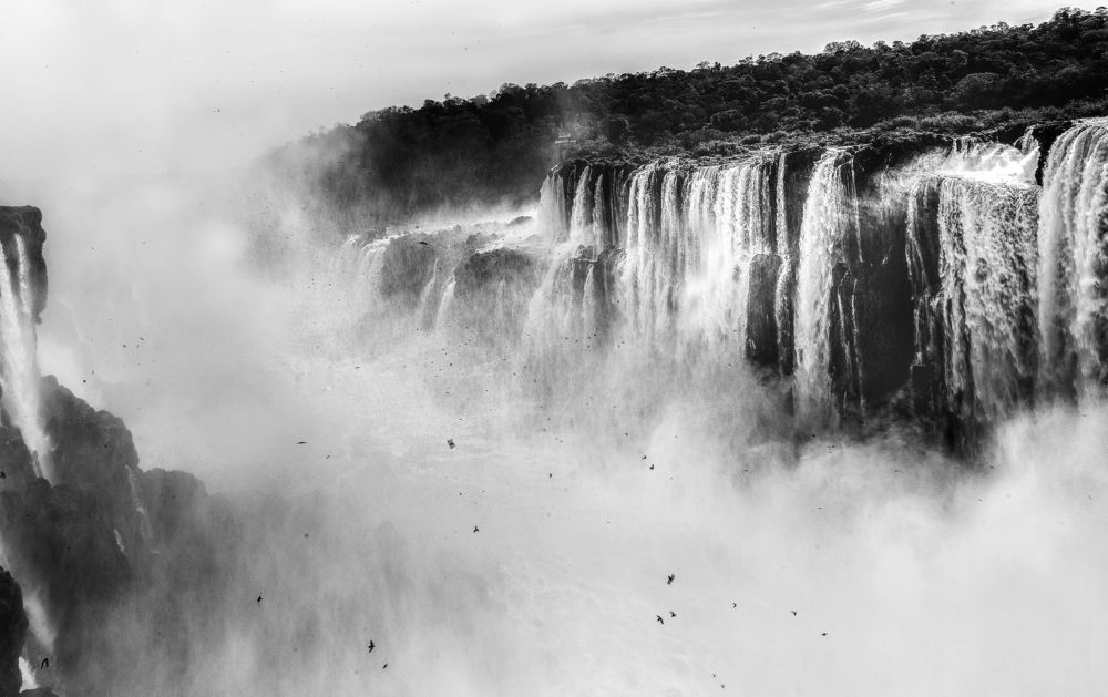 Фотография автора Joaquin Silva