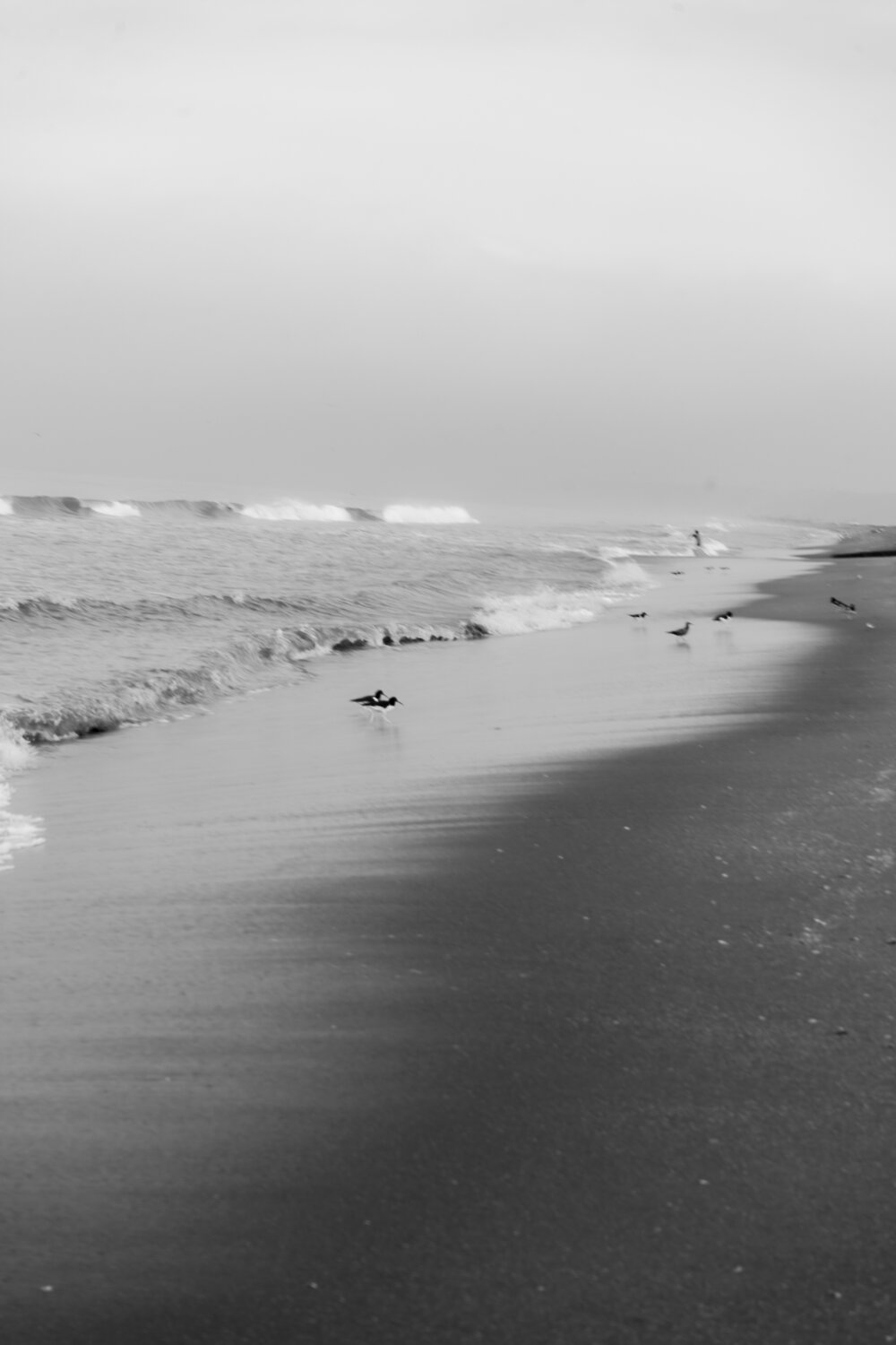 Photo #13143774