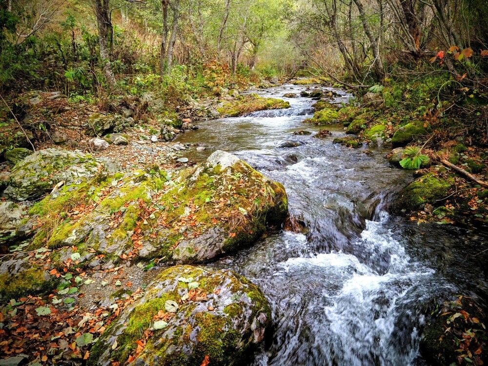 Photograph by Olena Vorotyntseva