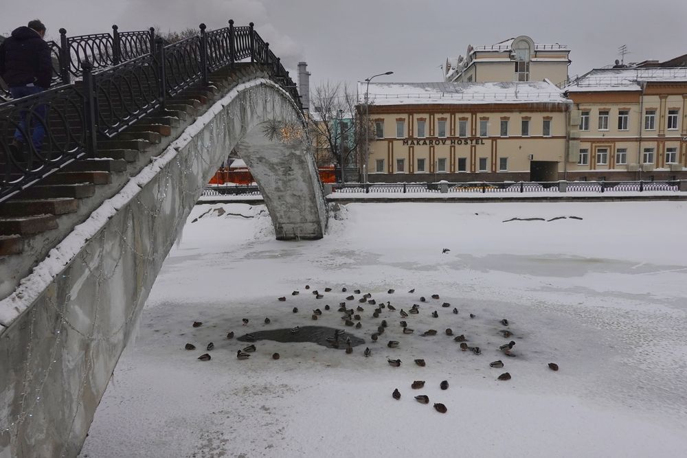 Photograph by Ионова Татьяна