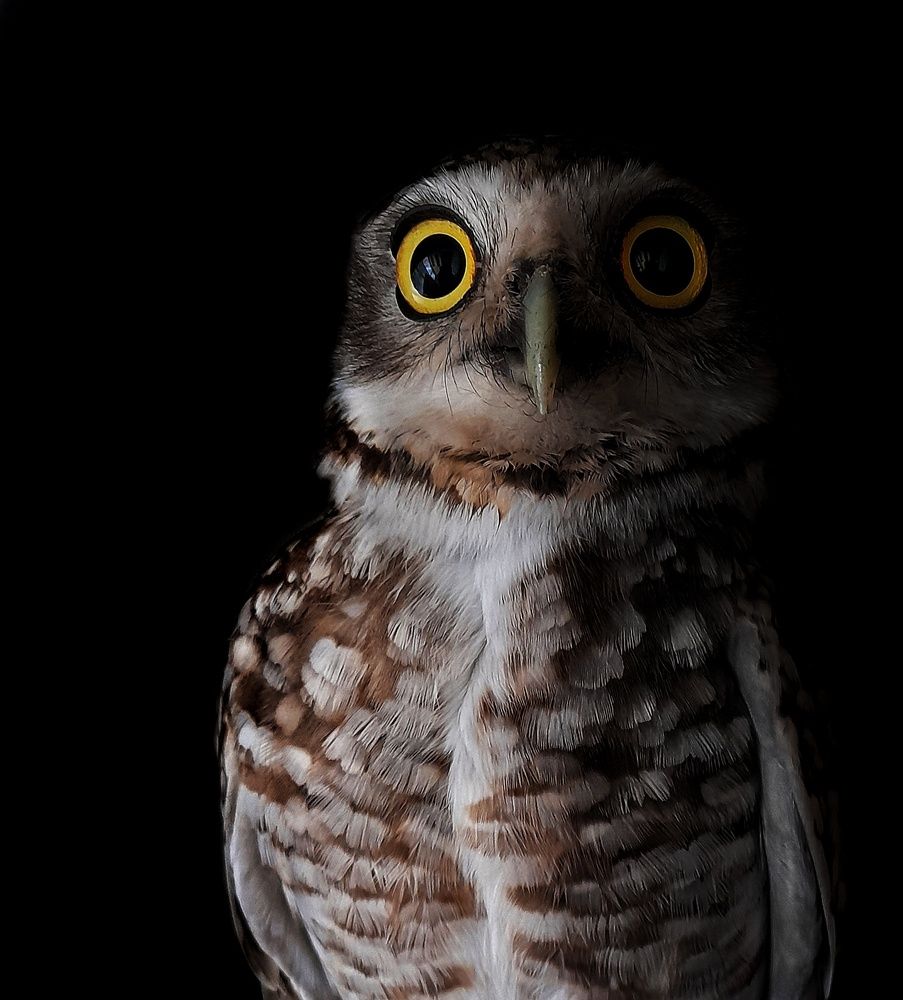 Photograph by Roberto Hagemann