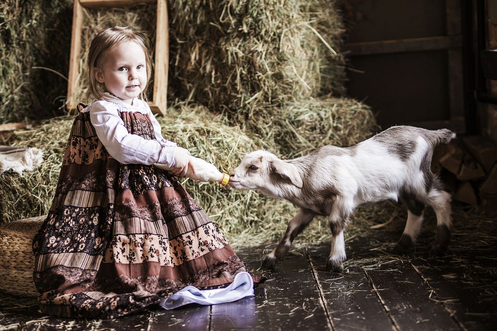 Photograph by Ольга Сорокина