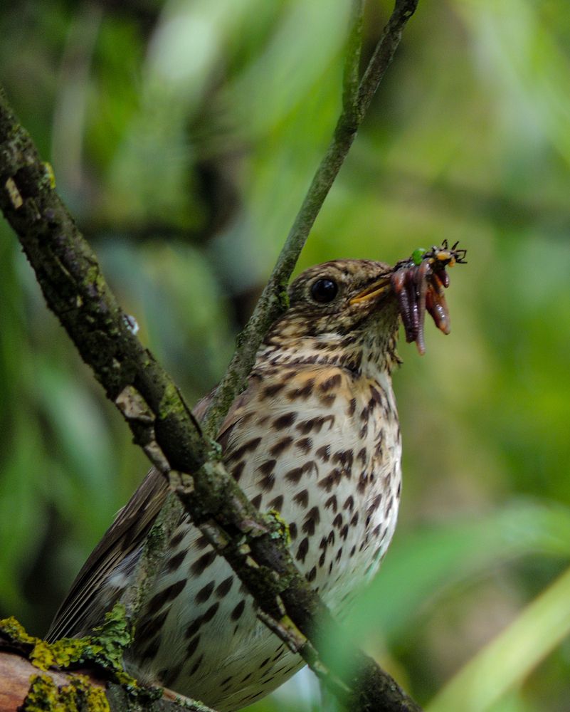 Photograph by Наталья Балабанова