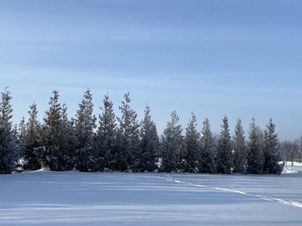 Фотография автора Анна Могилева