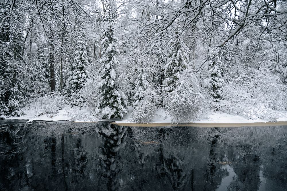 Фотография автора Дьяченко Алёна