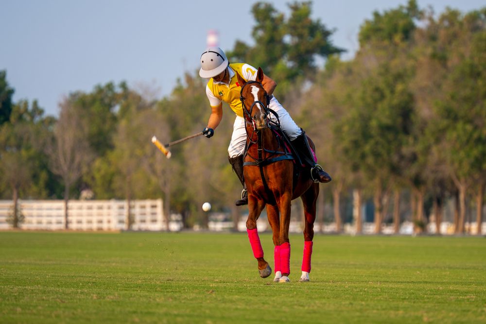 Photograph by Hadine elsaadi