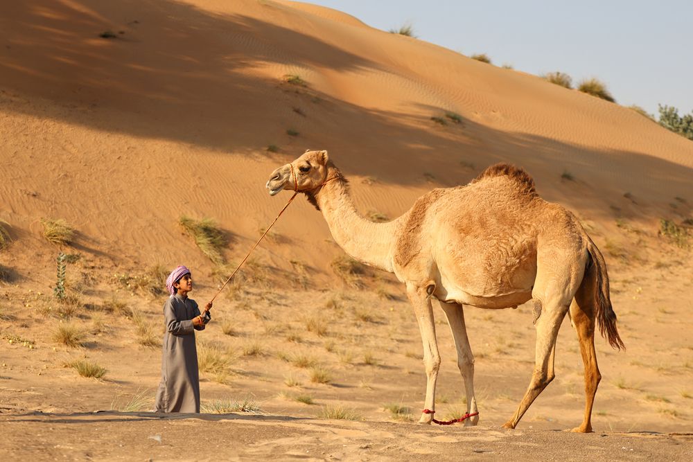 Photograph by Hadine elsaadi