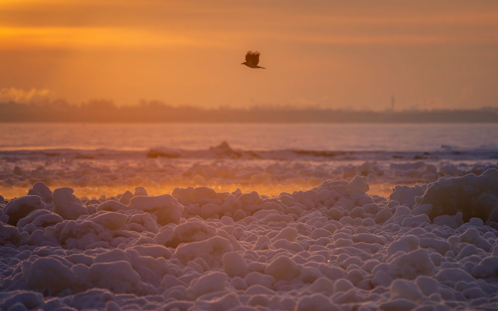 Фотография автора Mika Mgla