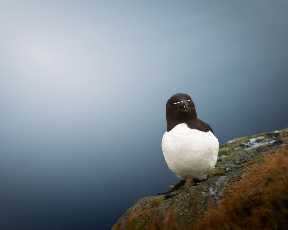 Photograph by Sudheer Nunna