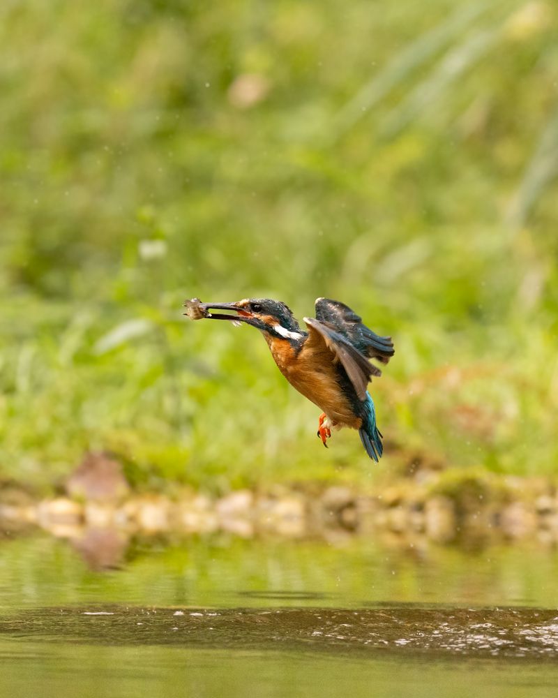 Photograph by Sudheer Nunna