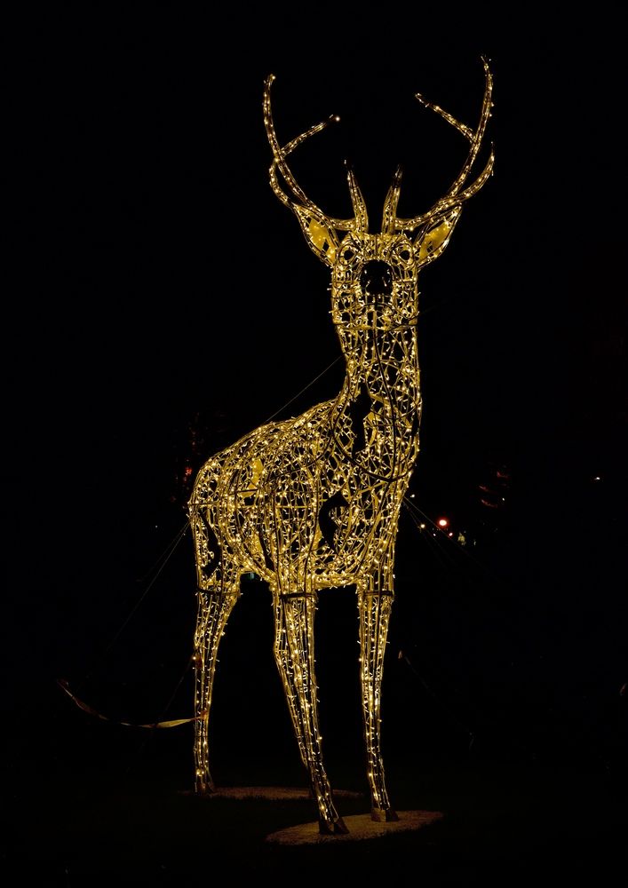 Фотография автора Alena T