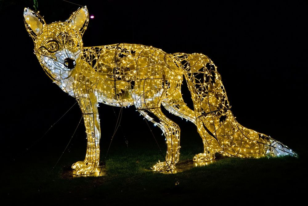 Фотография автора Alena T