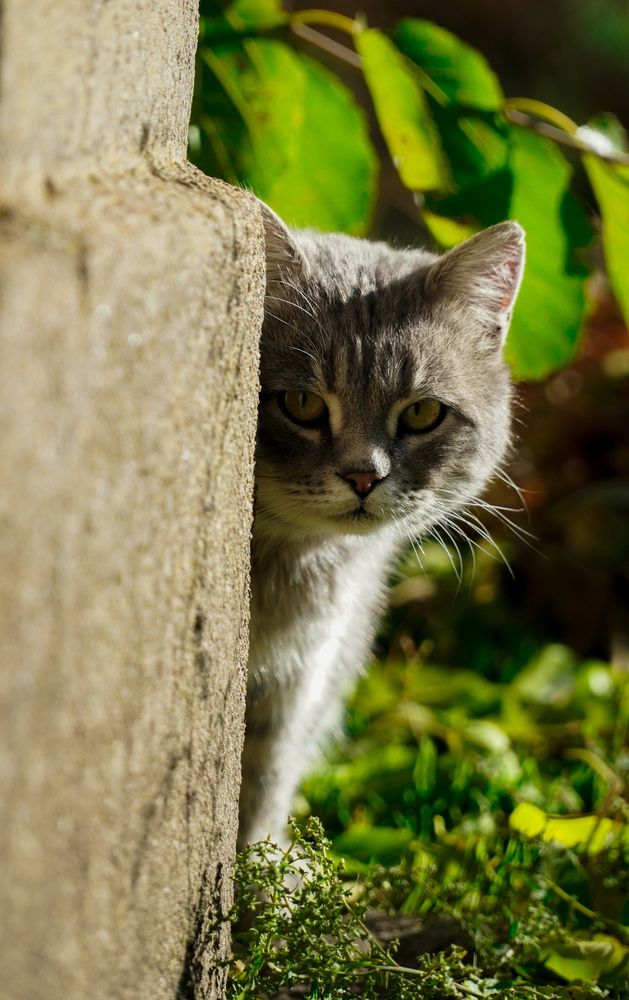 Photograph by Сергей Лещенко