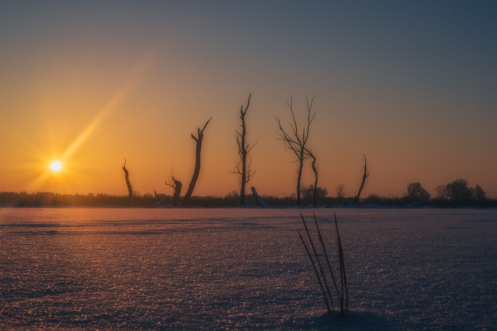 Photograph by Budyta Dariusz