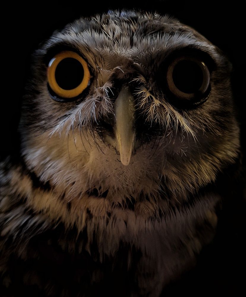 Photograph by Roberto Hagemann