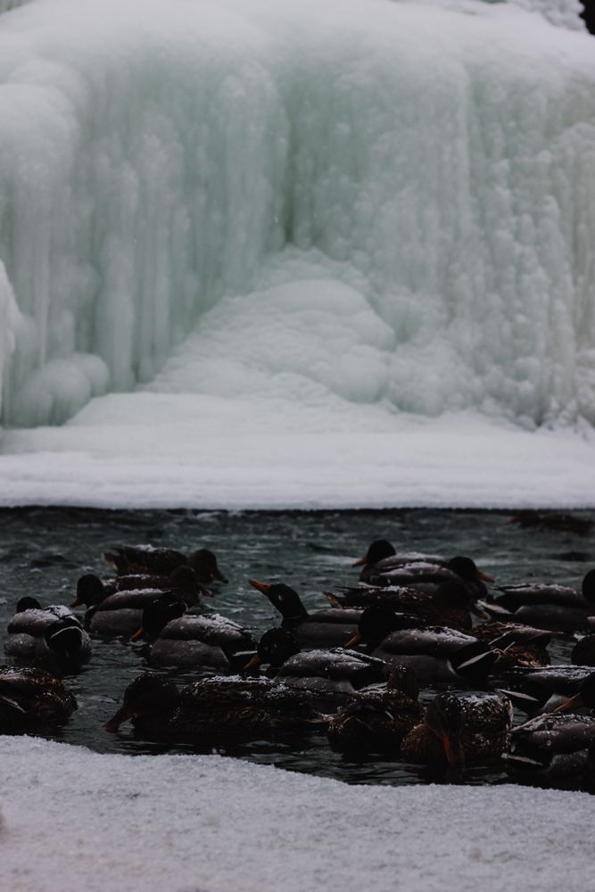 Photograph by Maria Stankevich