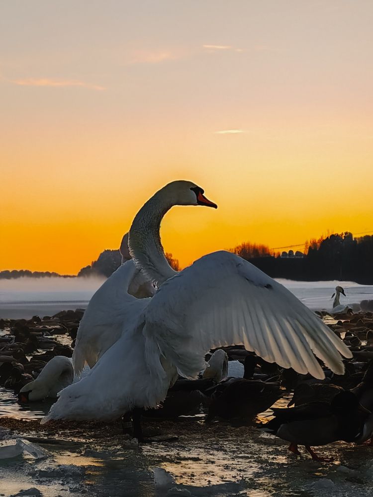 Photograph by Maria Stankevich