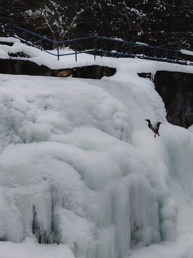 Photograph by Maria Stankevich