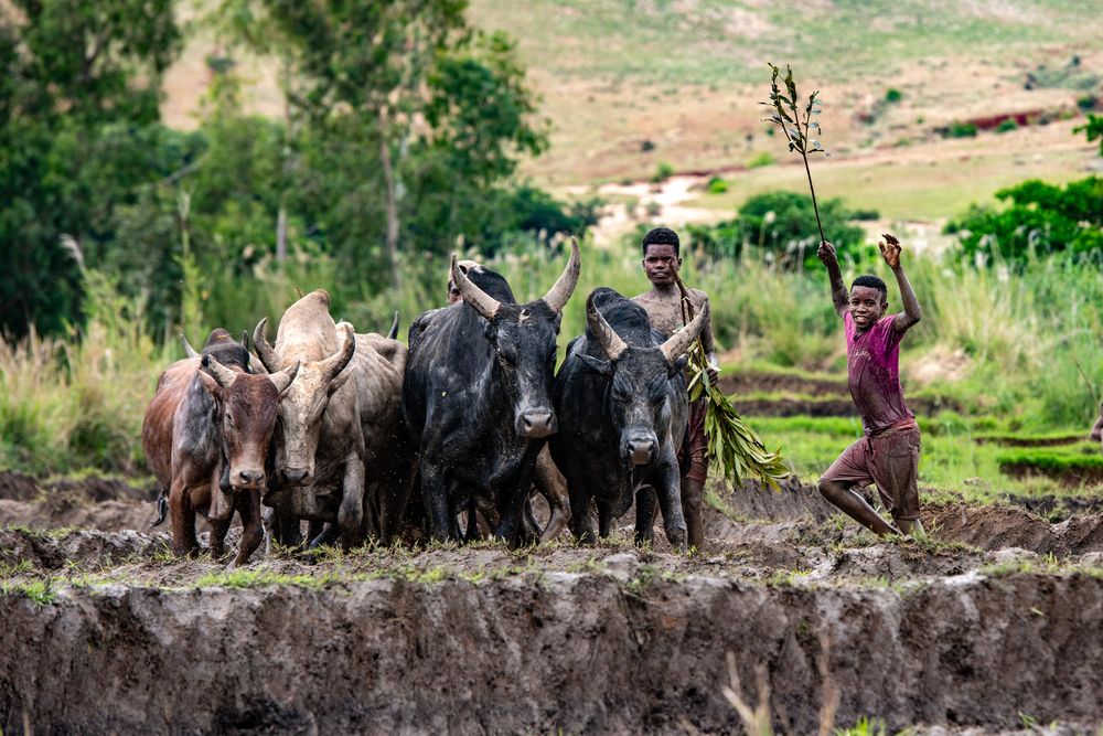 Photograph by Ismail Hassanaly