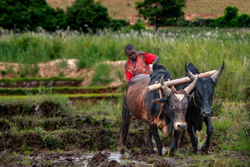 Photograph by Ismail Hassanaly