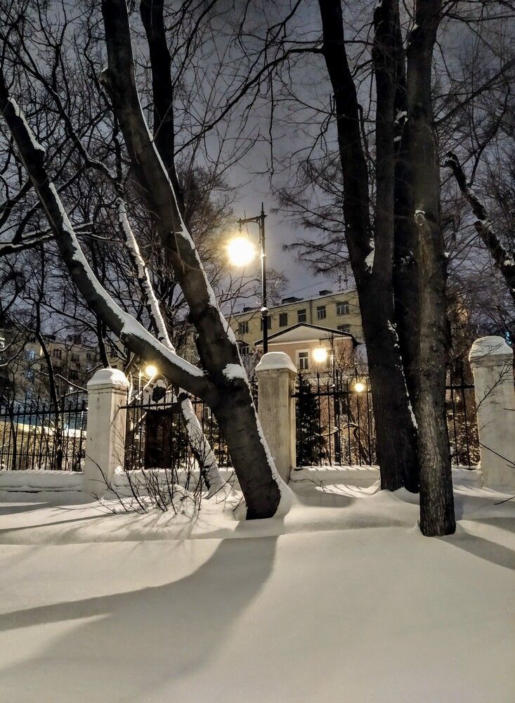 Фотография автора Елена Эйнова