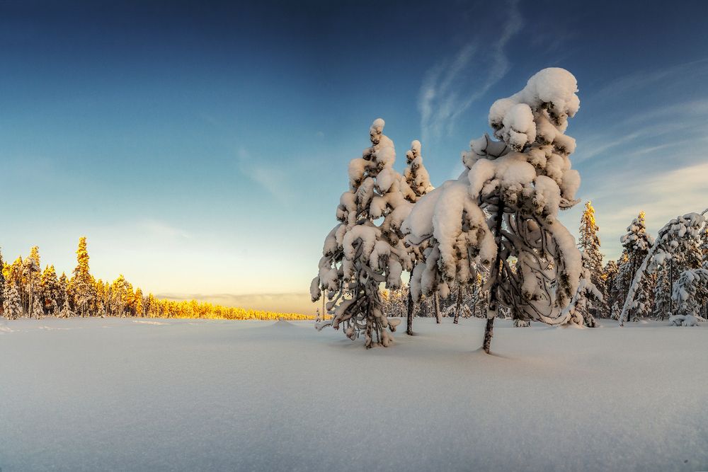 Photograph by Дмитрий Шавловский