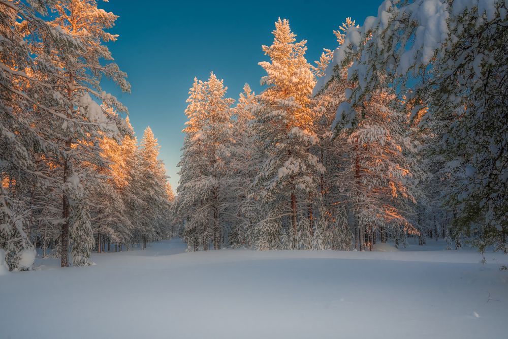 Photograph by Дмитрий Шавловский