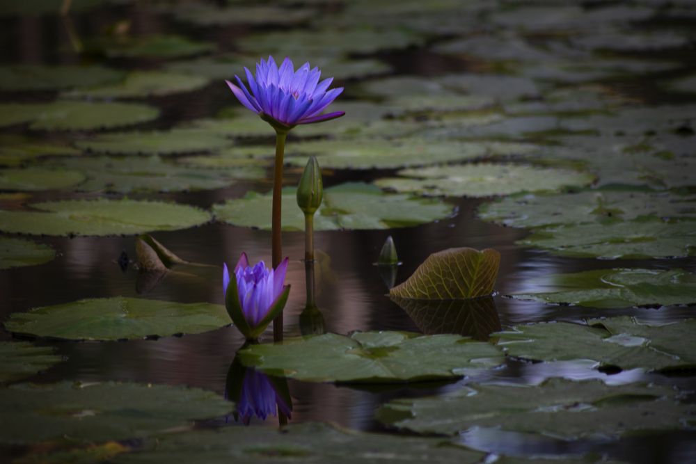 Фотография автора Наталия Панасенко