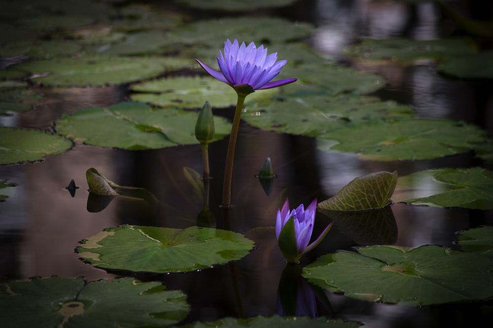 Фотография автора Наталия Панасенко