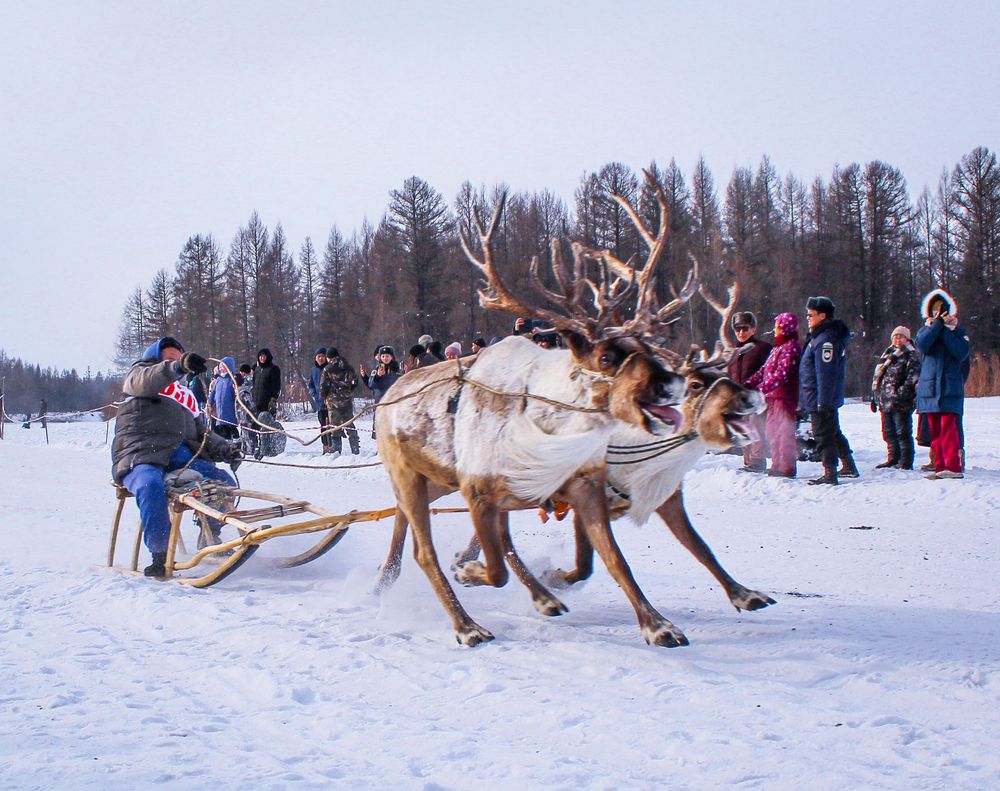 Photograph by Михаил Мархинин