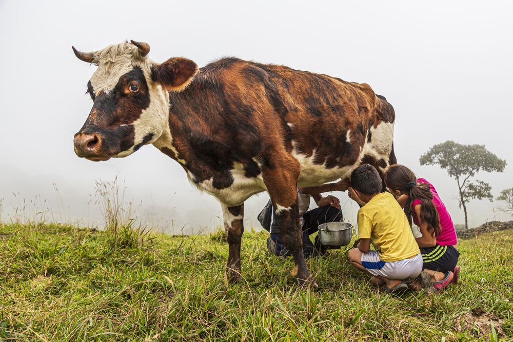 Photograph by Jorge Ivan Vasquez