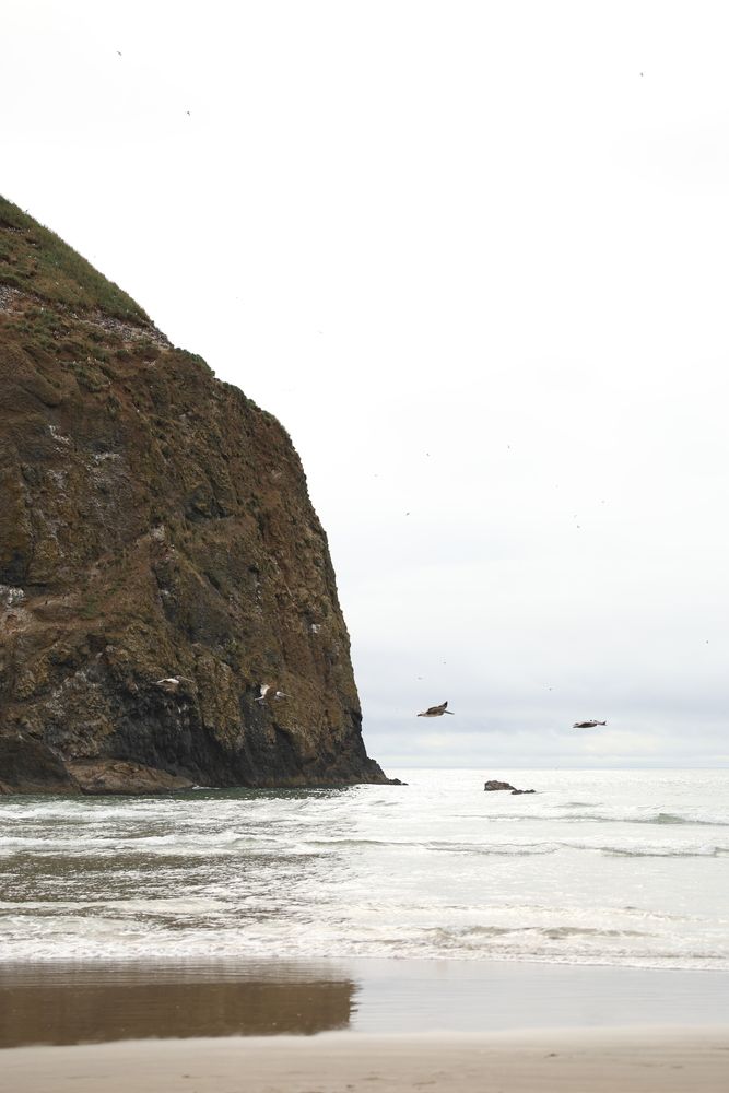 Photograph by Ania Huzii