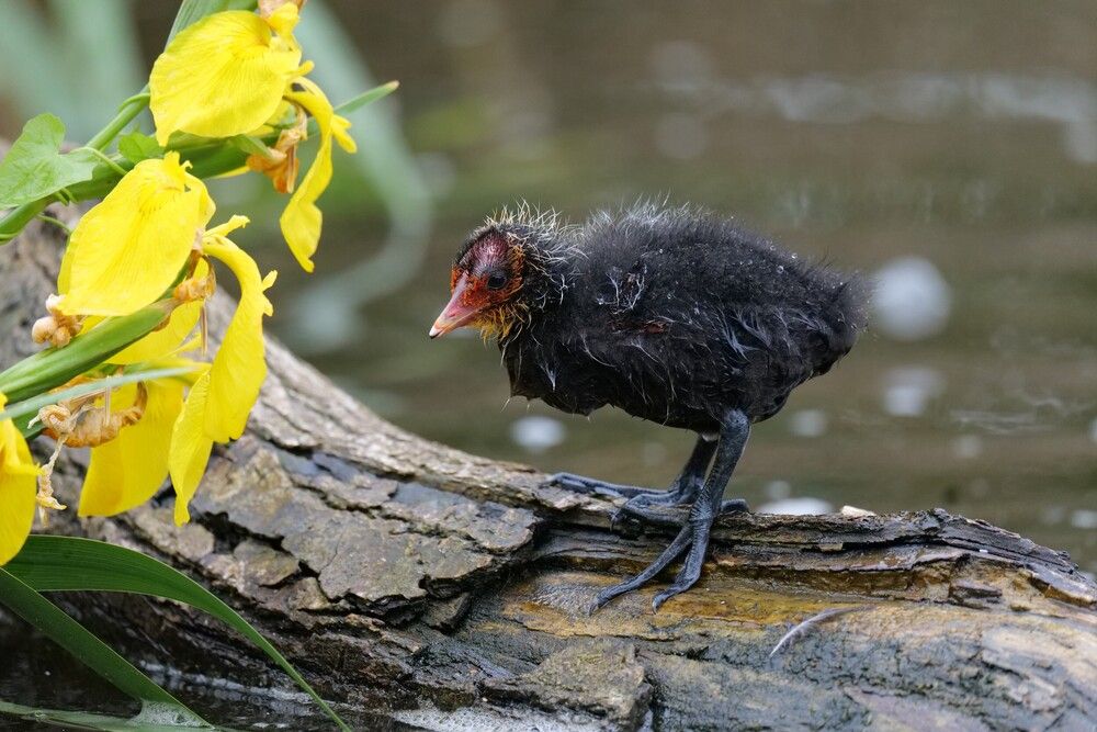 Photograph by Оксана Архипова