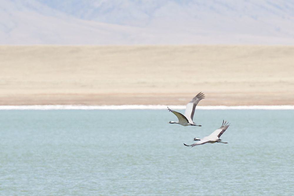 Photograph by Игорь Н. Адамов