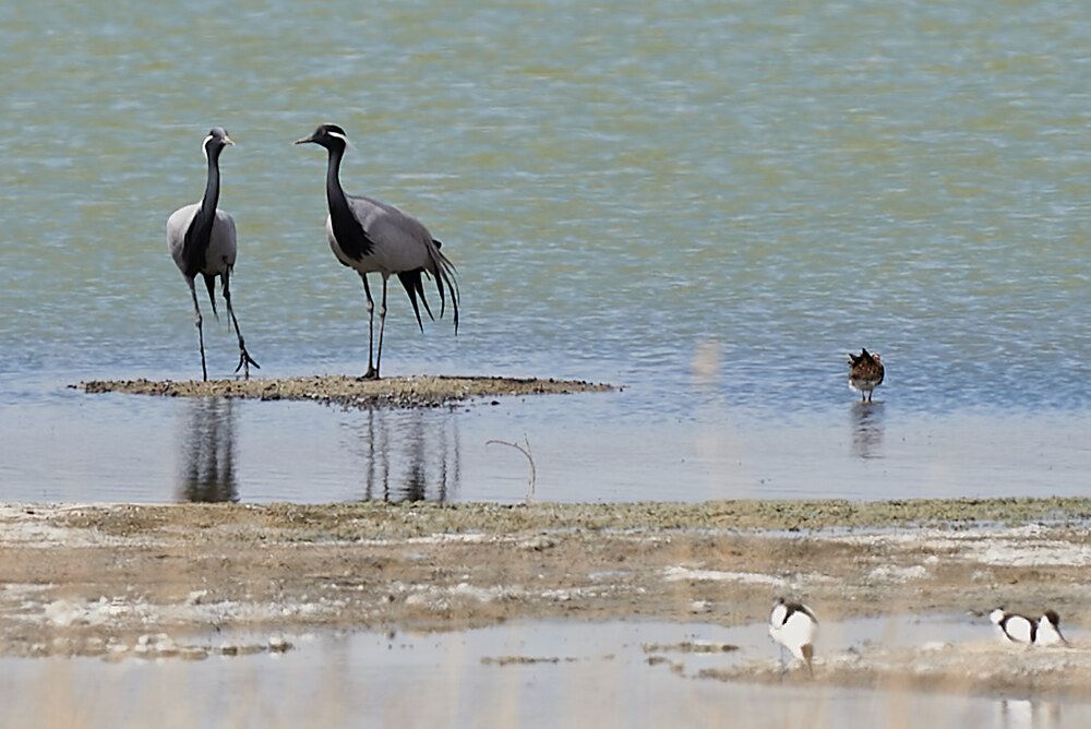 Photograph by Игорь Н. Адамов