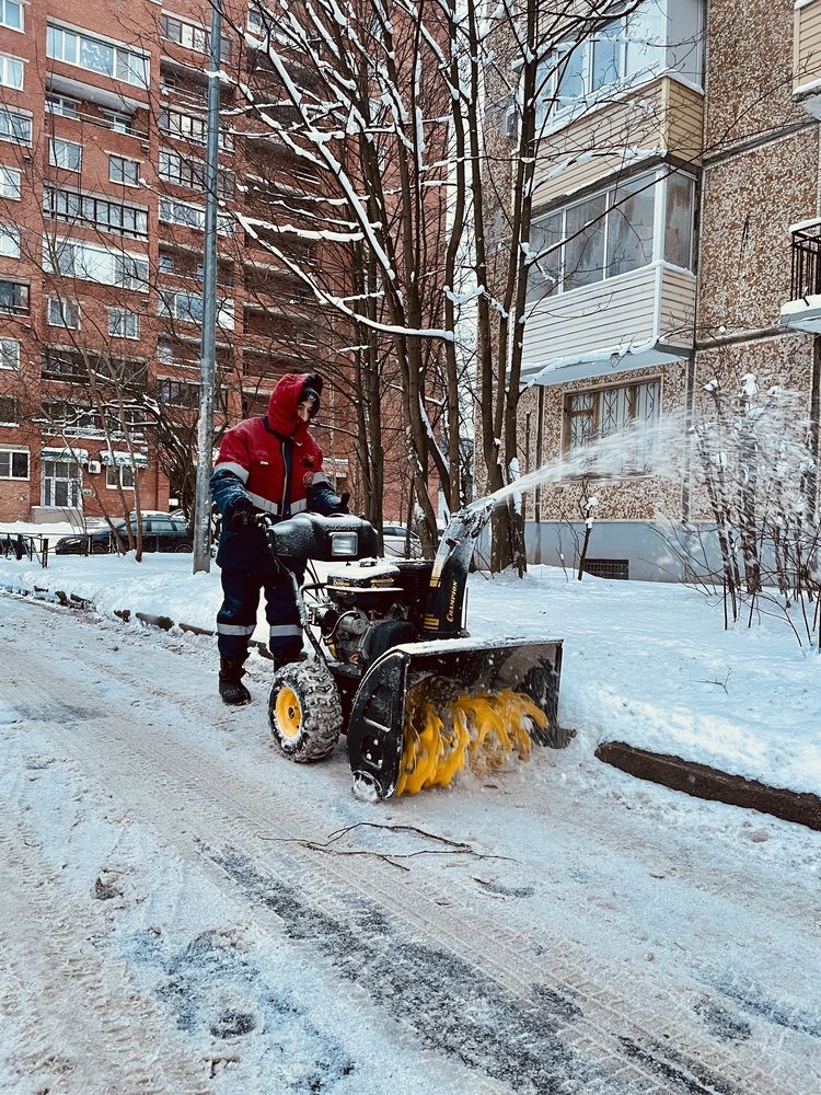 Фотография автора Яна Егорова