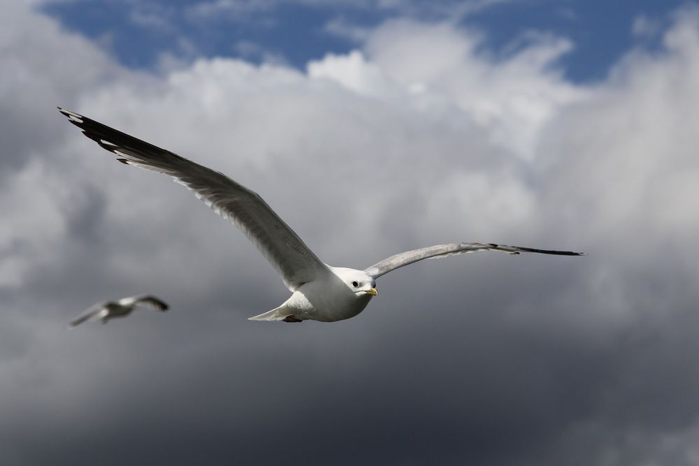 Photograph by Юрий Еремин