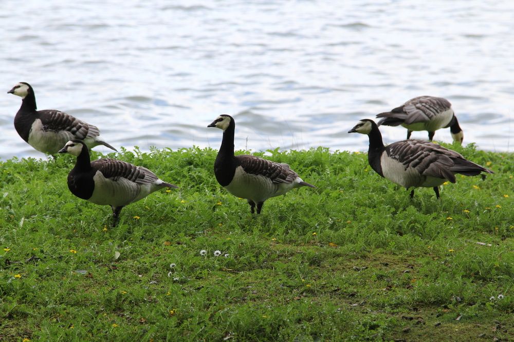 Photograph by Юрий Еремин