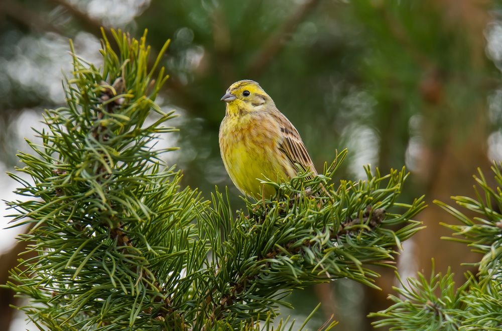 Photograph by Сергей Пидронов