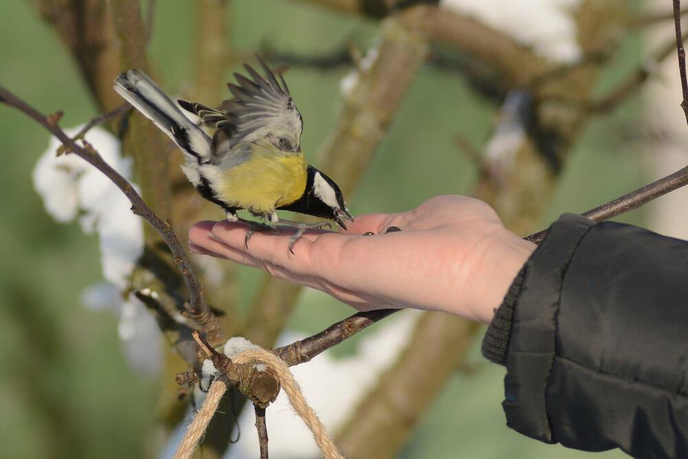 Photograph by Сергей Пидронов