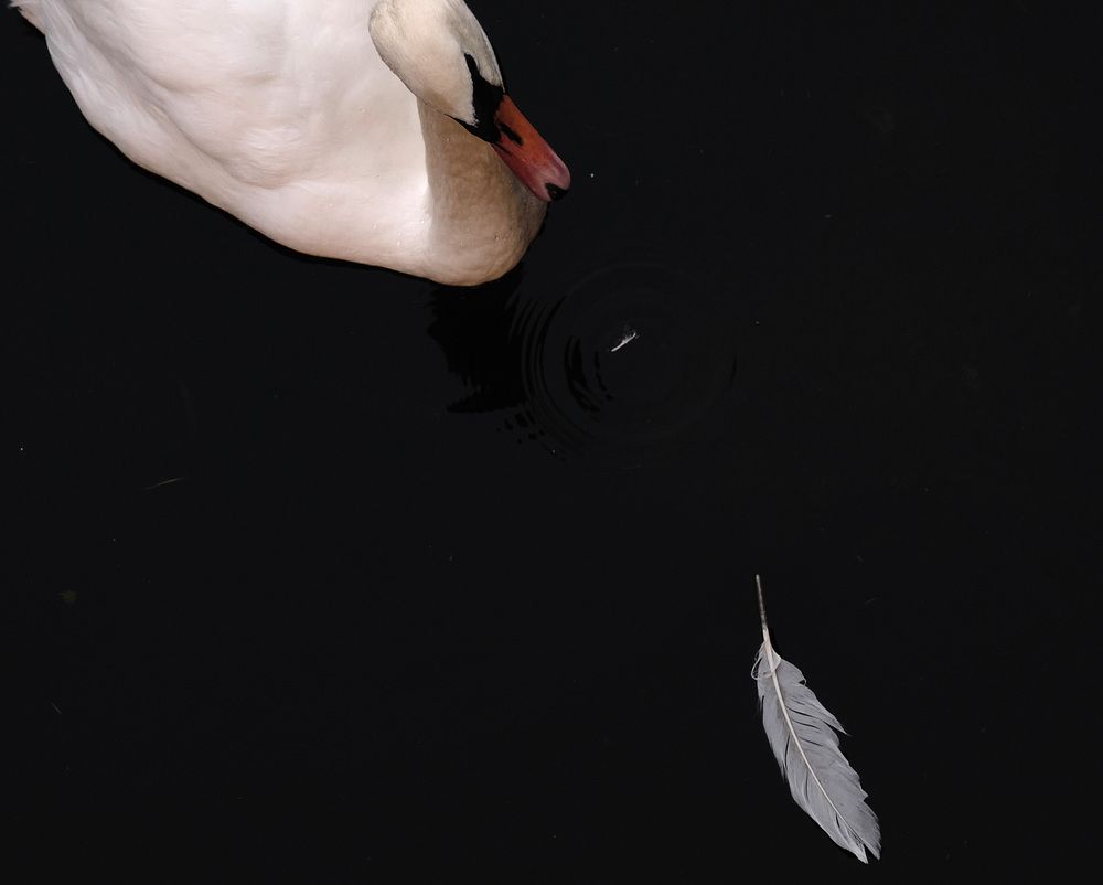 Photograph by Дмитрий Емельянов